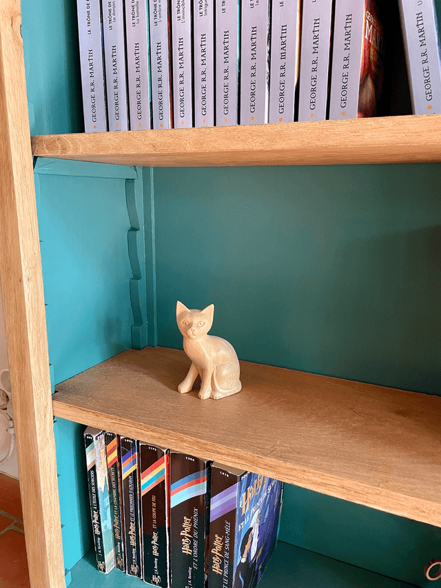 Petite bibliothèque Bibus